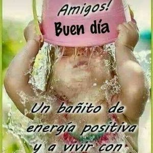 Meet your Posher, Elsa